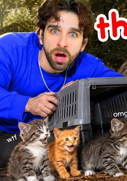 S03:E09 - Rescuing Abandoned Kittens From Coyotes poster