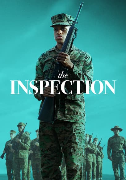 The Inspection