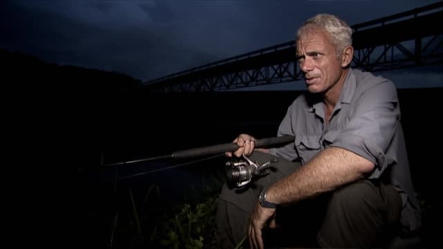 S03:E07 - Jungle Killer