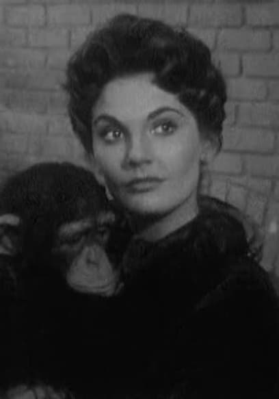 Watch The Adventures of Jim Bowie S01:E27 - The Captain's Chimp - Free ...