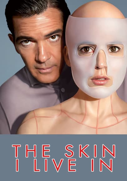 The Skin I Live In poster