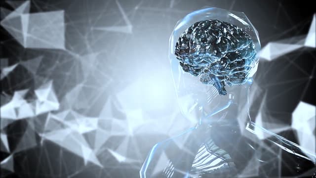 S01:E09 - Brainiac: Smarter Brains, Smarter Animals, and Revolutionary Tech