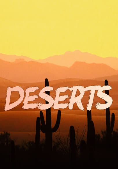 Deserts