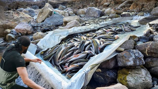 S01:E01 - The Simplest Fishing Techniques / Fishing for Big Fish