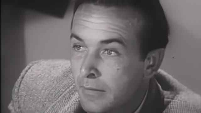 S03:E29 - The Big Hit-Run Killer