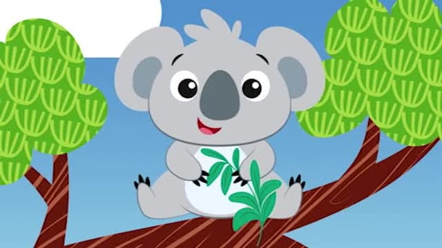 S01:E01 - Baby Einstein: Animal Adventures