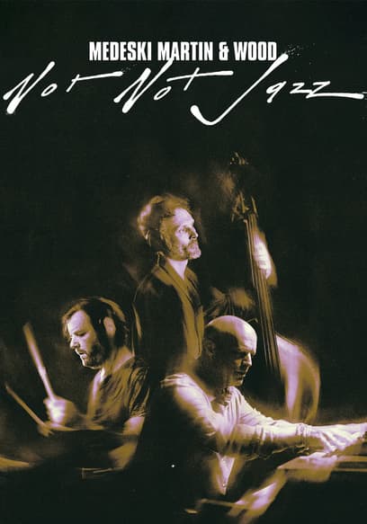 Medeski, Martin & Wood: Not Not Jazz