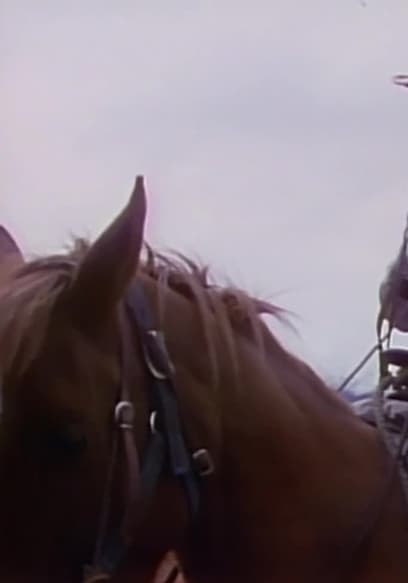 S01:E10 - Horse Packing Luxury and Motor Yachting poster