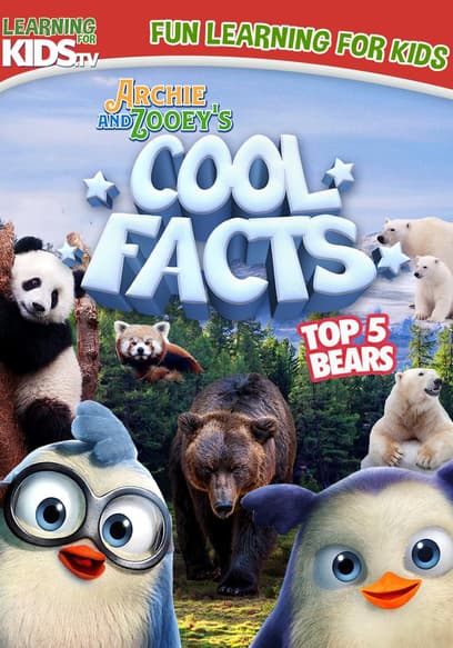 Archie and Zooey’s Cool Facts: Top 5 Bears
