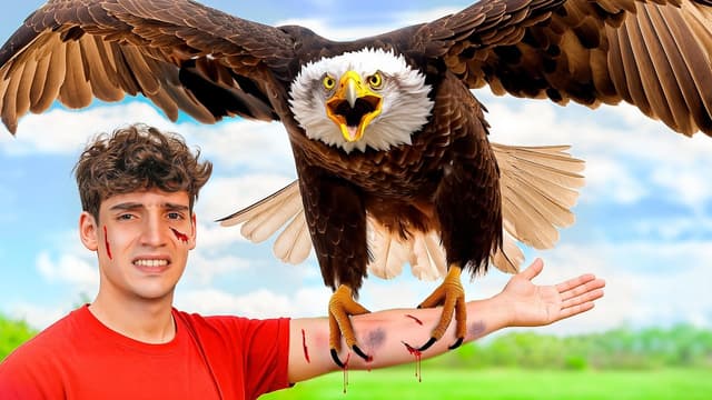 S01:E15 - Nueva Aguila Despiadada