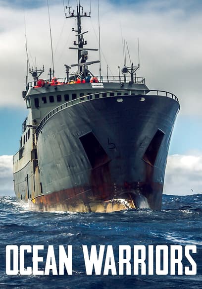 Ocean Warriors