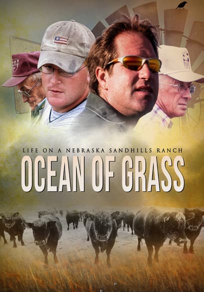 Ocean of Grass: Life on a Nebraska Sandhills Ranch