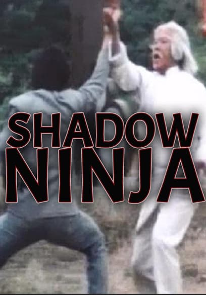 Shadow Ninja poster