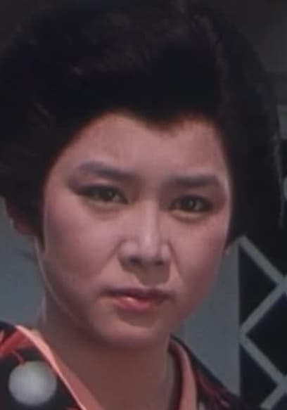 S01:E17 - The Living Shadow Shogun poster