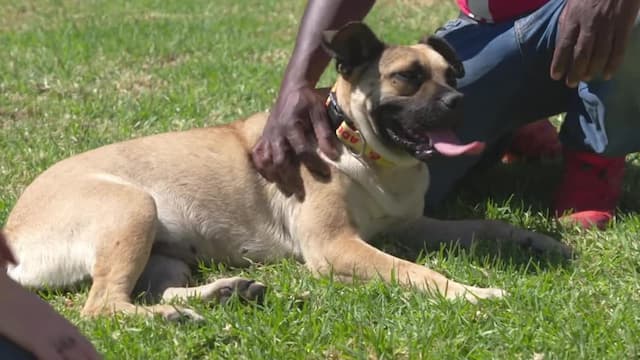 S01:E08 - The Boolah's and Nikki