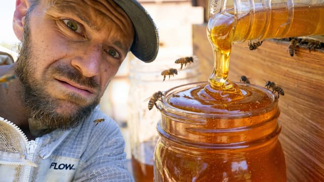 S01:E10 - The Bees Swarmed Our Flow Hive Honey Harvest