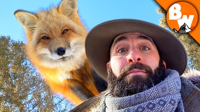S01:E10 - Wild Canines: Western Coyotes and Clever Foxes
