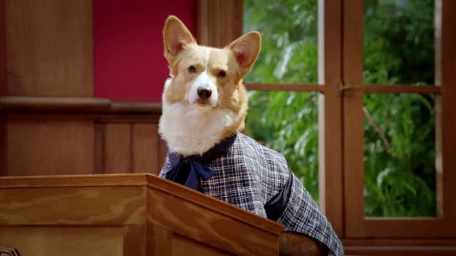 S01:E02 - Tell Us About Your Human Day