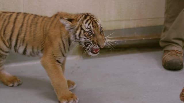 S01:E01 - Higher Purpose