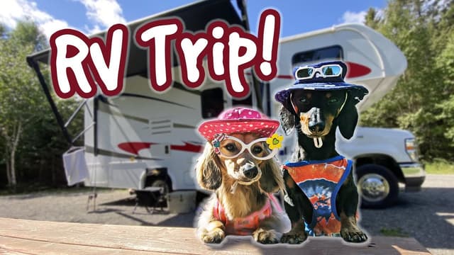S01:E16 - Doggy Road Trip and Miami Getaway
