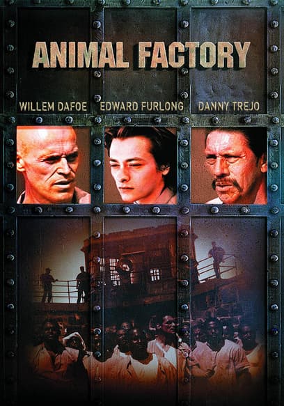 Animal Factory