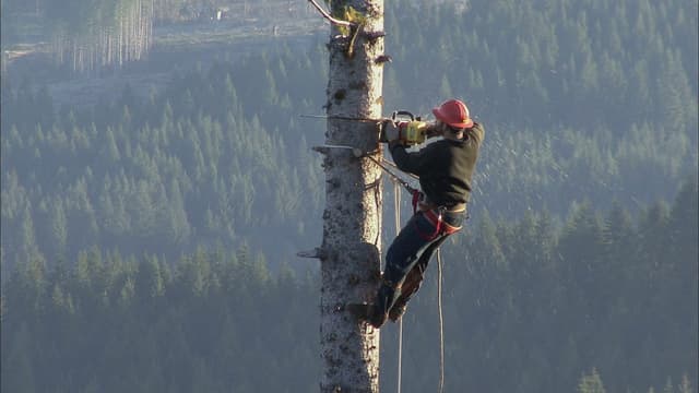 S01:E05 - Market Meltdown