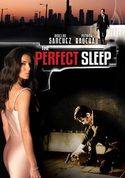 The Perfect Sleep