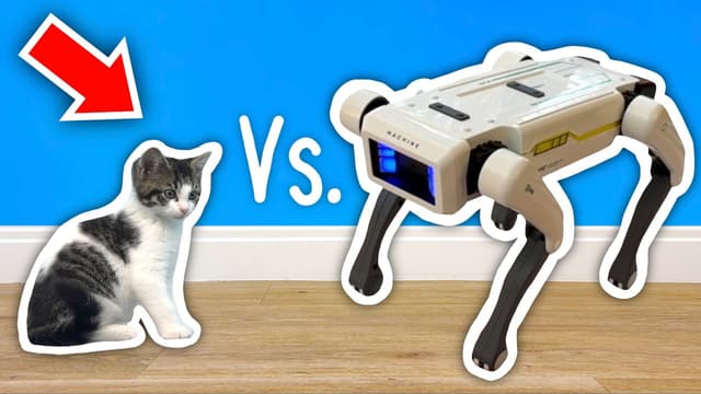 S01:E10 - Kitten vs. Robots! + I Built a CASTLE for My KITTEN! + Kitten Destroys LEGO Village!