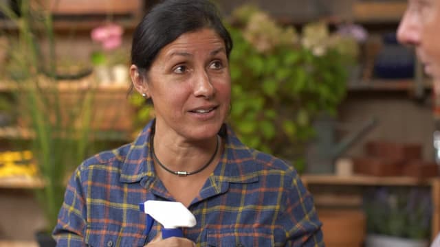 S20:E07 - Fall Garden Tips, Paint Cabinets