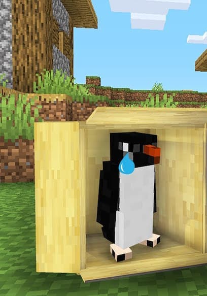 S01:E03 - Helping a Lost Baby Penguin! poster