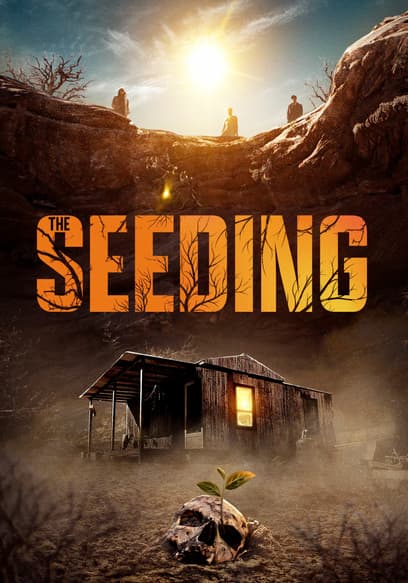 The Seeding