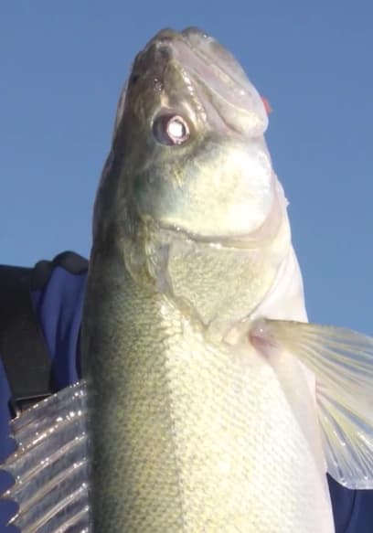 S01:E13 - Lake Winnipeg Ice Greenbacks poster