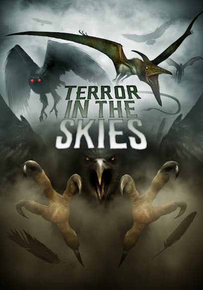 Terror in the Skies