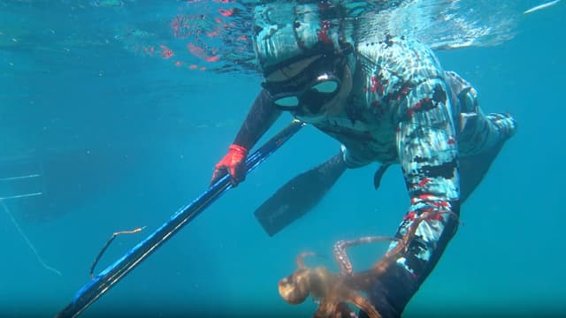 S01:E11 - Opportunistic Eaters