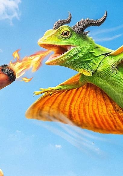 S02:E12 - I Got a Pet Dragon (Actually Flies) poster