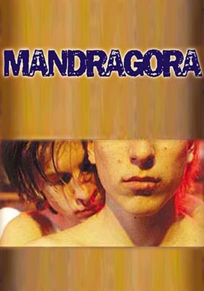 Mandragora