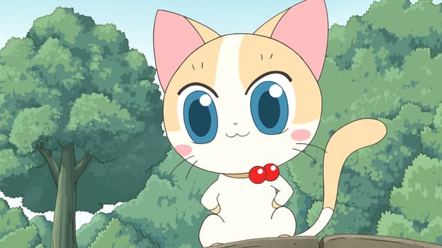 S03:E13 - Nooroongji Story / Who Will Be My Husband