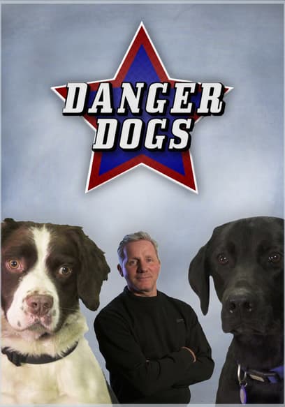 Danger Dogs