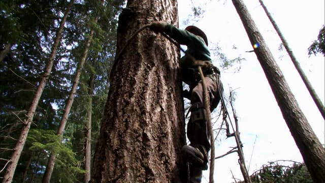 S05:E14 - Falling Apart