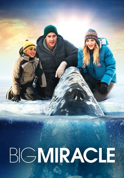 Big Miracle poster