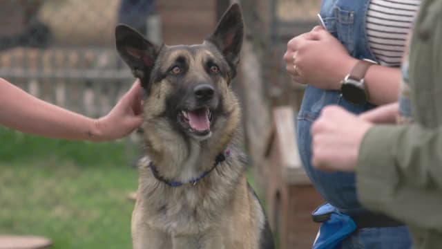 S01:E06 - The Xesha's and the Vockerodt's