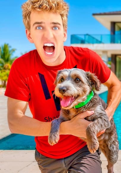 S01:E15 - Finding Missing Dog and Gator poster