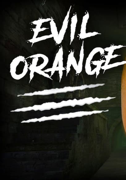 S01:E17 - Evil Orange poster