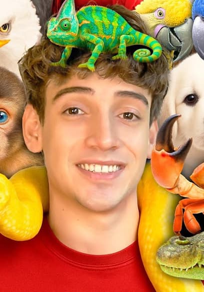 S01:E12 - 100 Peligrosas Mascotas poster