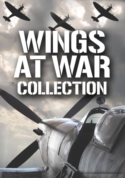 S01:E02 - Liberation of Europe