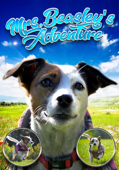 Mrs. Beasley's Adventure poster