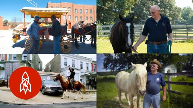 S01:E14 - Horse Stories