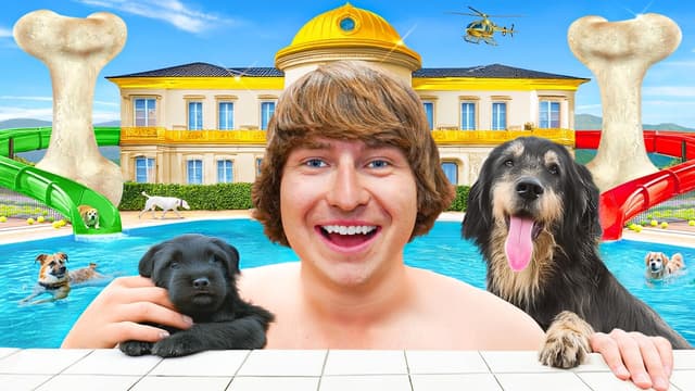 S01:E13 - Matthew Beem Builds a 5-Star Luxury Dog Hotel!