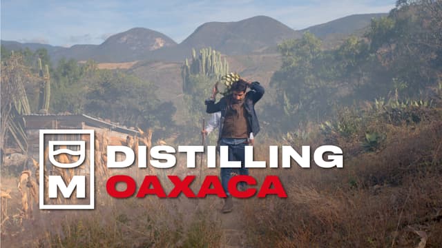 S01:E01 - Distilling Oaxaca: Mezcal