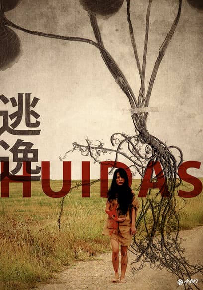 Huidas